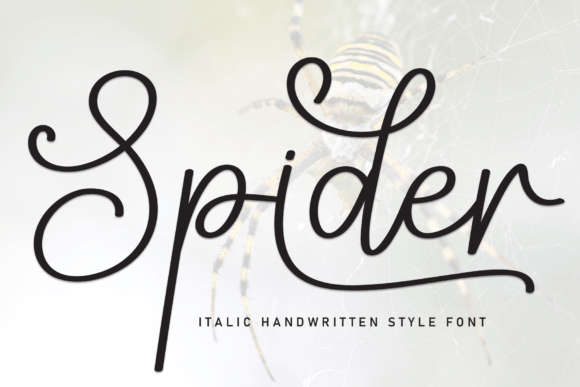 Spider: The Relaxed Handwritten Typeface for Modern Branding