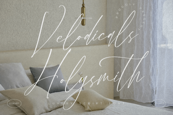 Velodicals Holysmith: A Designer's Real-World Review